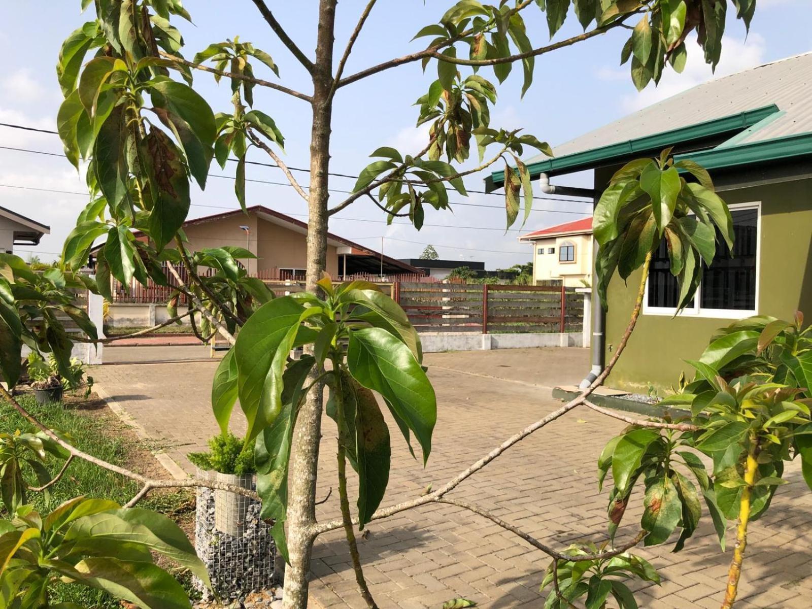 Grapefruitstraat Apartment Paramaribo Luaran gambar